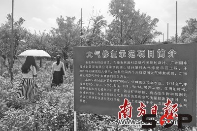 茶山啟用開放空間大氣修復(fù)試點